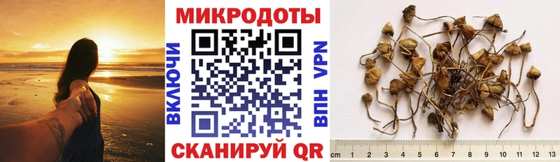 Псилоцибиновые грибы Psilocybine cubensis  Купить закладки  Ярцево 